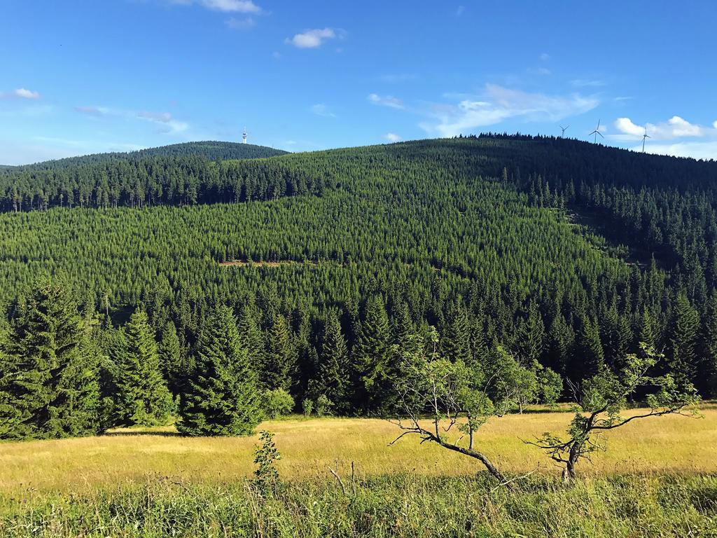 Fichtelberger Blick Apartment Oberwiesenthal